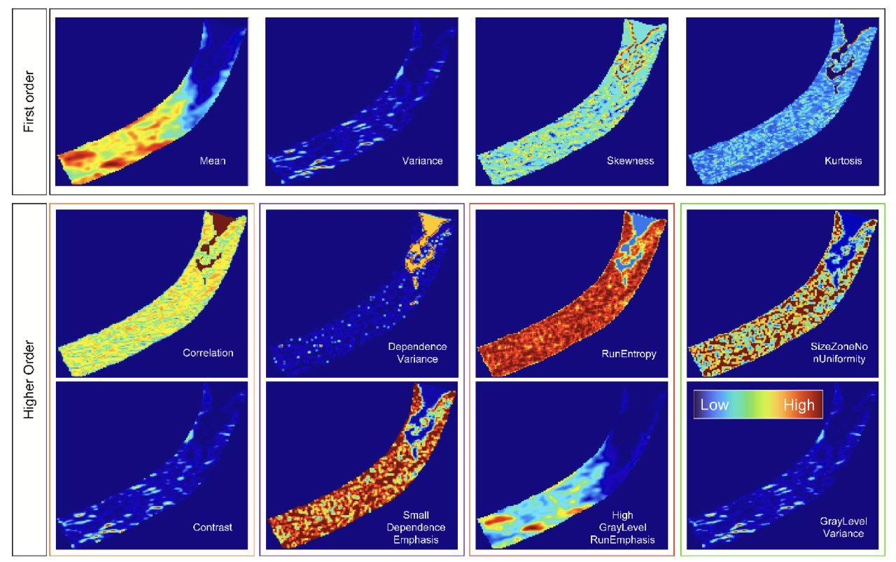 Multiparametric texture-feature maps of the urethra derived from B-mode ultrasound, from first-order statistics and radiomic matrices.